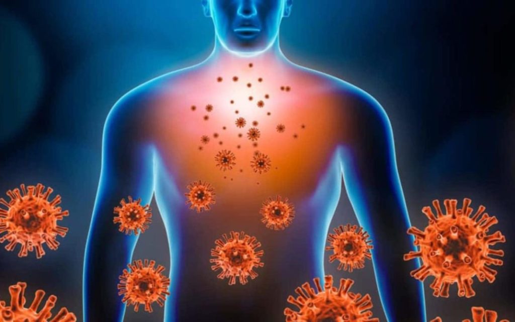 Optimizing Immune System Health: Science and Strategies