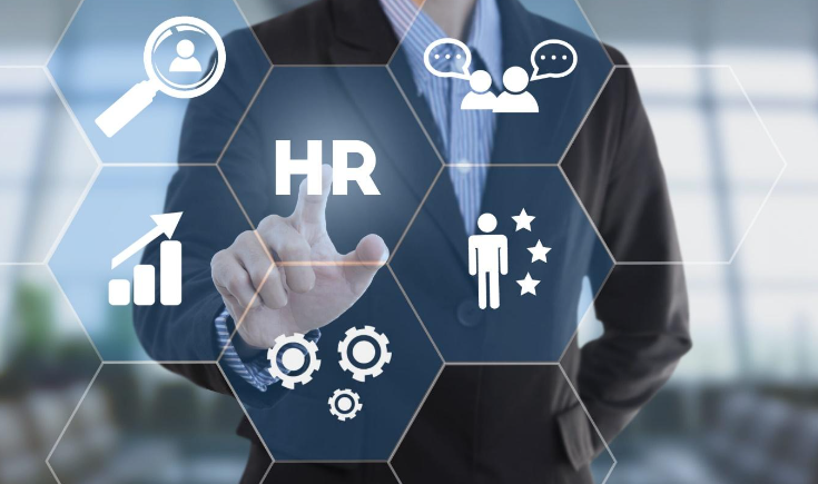 Enhancing Organizational Efficiency with Human Resource Software Solutions