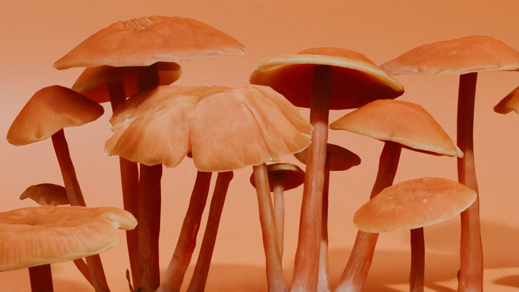 How Long Do Shrooms Last? Key Tips for Safe Tripping