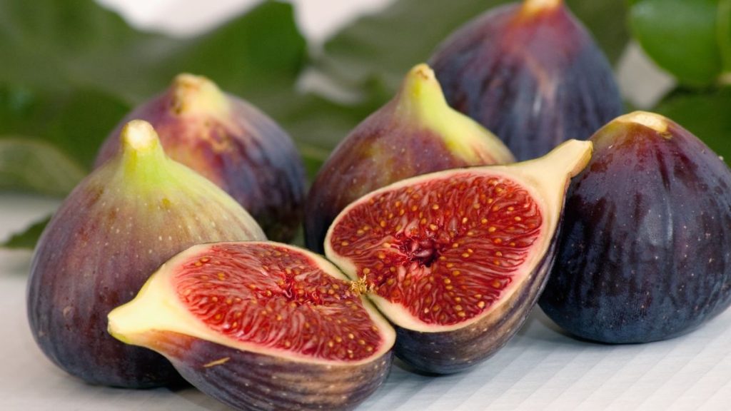 The Wonderful World of Friday Fig: Growing and Caring for Your Fig Plant