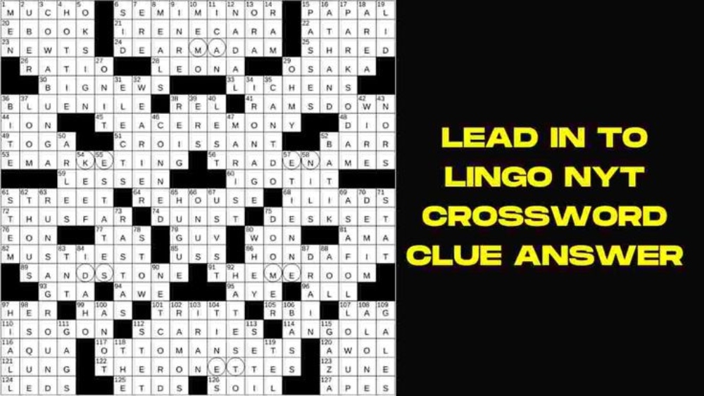 Deciphering lead in to lingo: A Comprehensive Guide to Mastering the Art