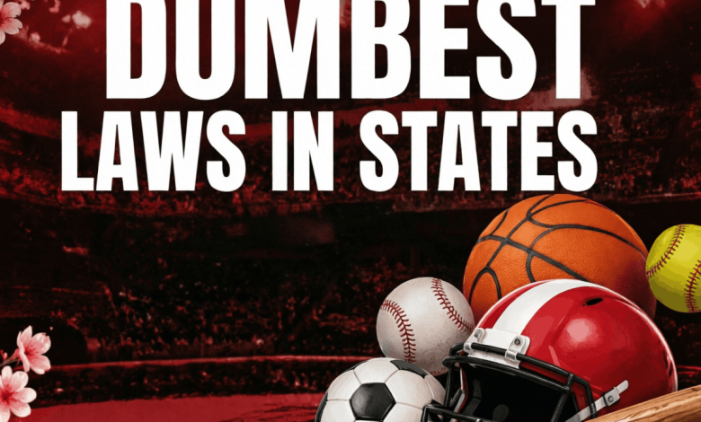 dumbest laws in states