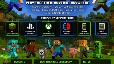 is minecraft crossplay