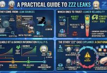 zzz leaks